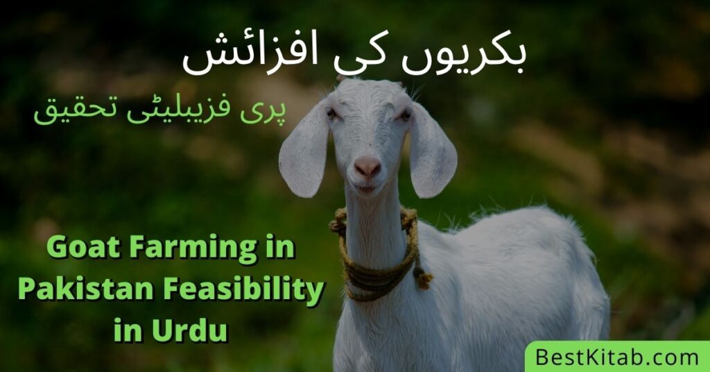 Goat Farming in Pakistan Feasibility in Urdu Pdf Free Download