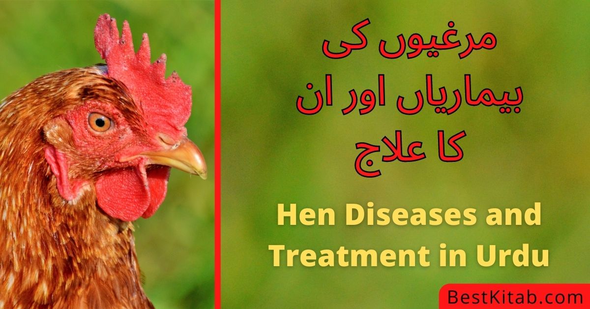 Hen Diseases and Treatment in Urdu Pdf Free Download