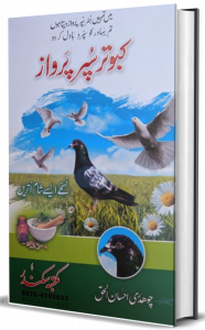Kabootar Super Parwaz Book Pdf Free