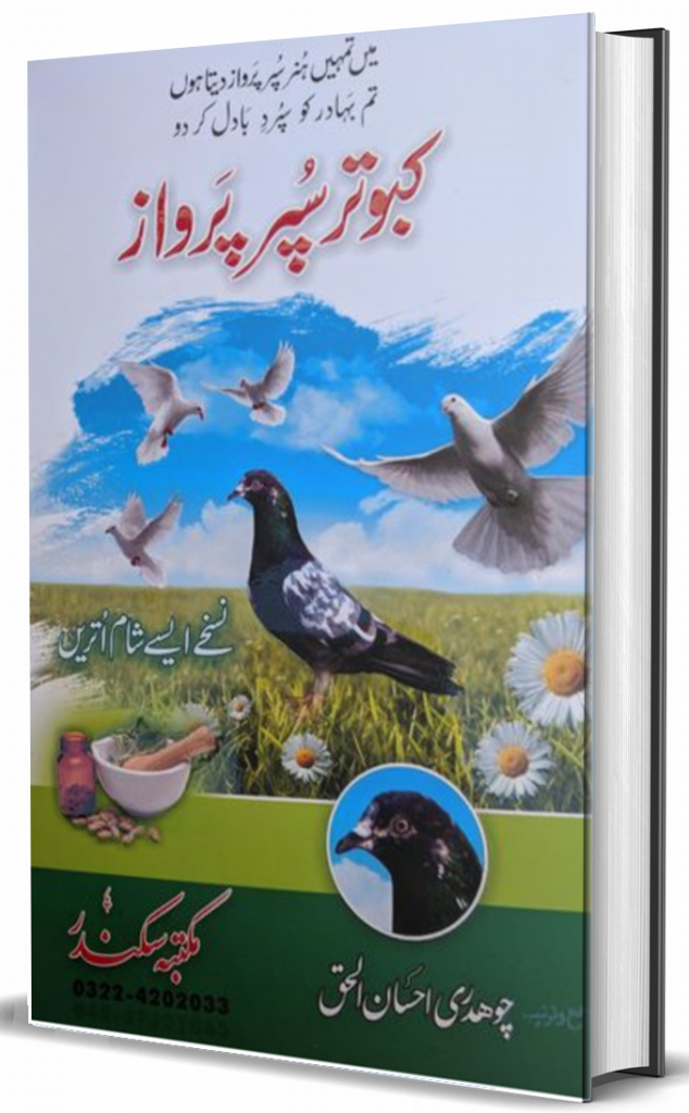 Kabootar Super Parwaz Book Pdf Free Download