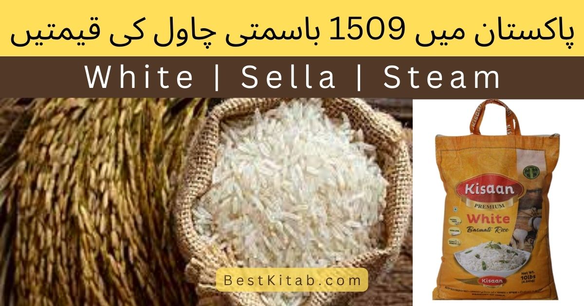 1509 Rice Price in Pakistan Today 2022